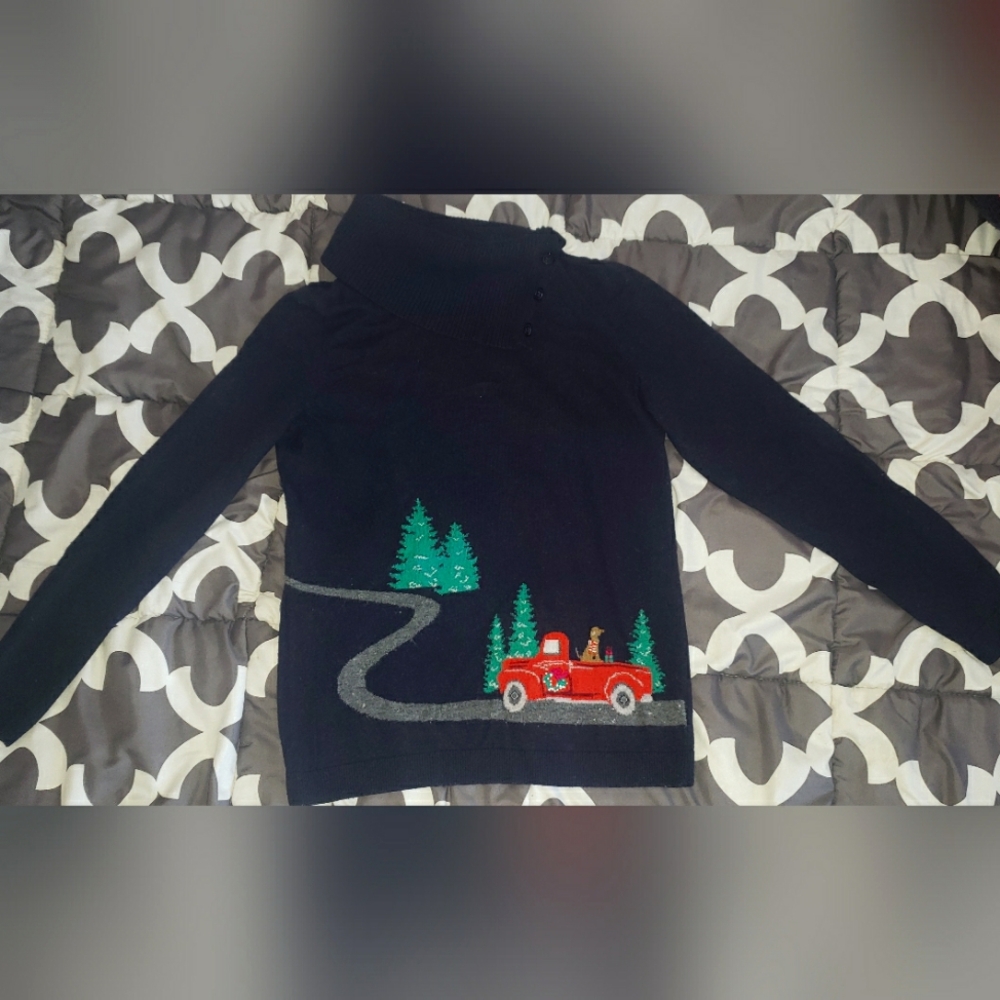Talbots Christmas Dog Sweater